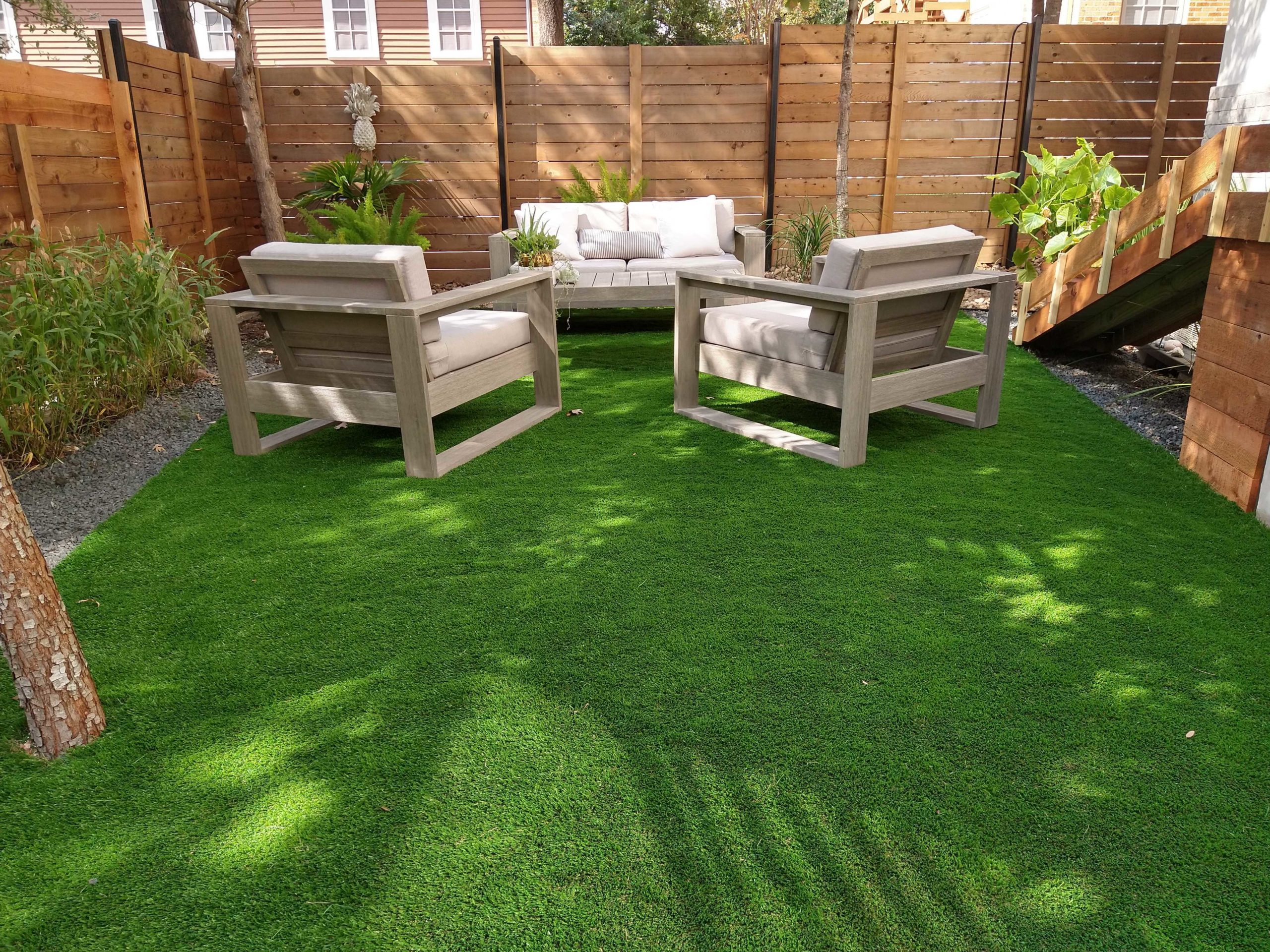 Backyard Turf