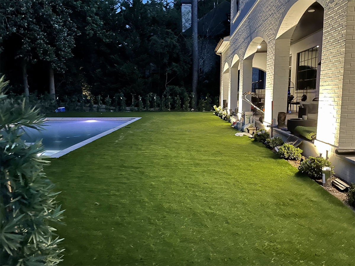 Turf in backyard