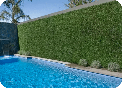 hedge hedge