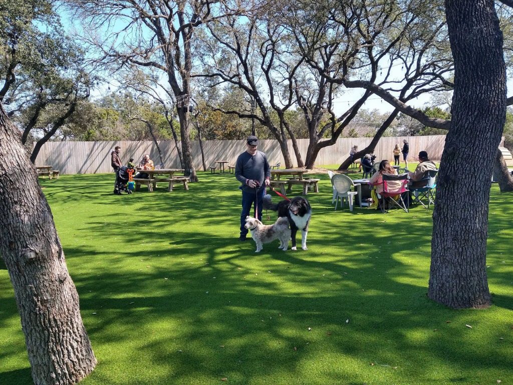 Artificial Grass at Dog Park Commercial Turf