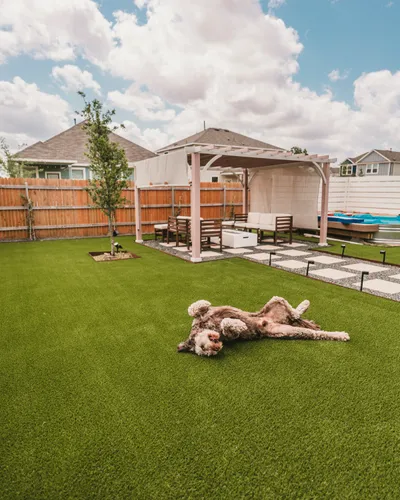 Turf project photo