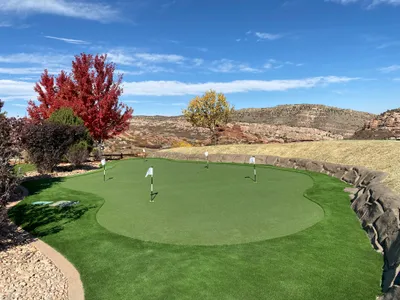 Turf project photo